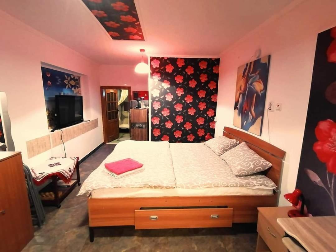 Hostel Pascalis Alesd Cameră foto